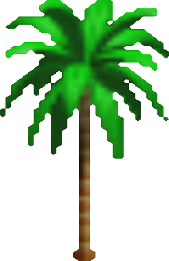STROOP- Tree Palm.png